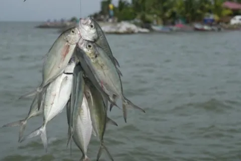 La pesca es una actividad común entre los pobladores.