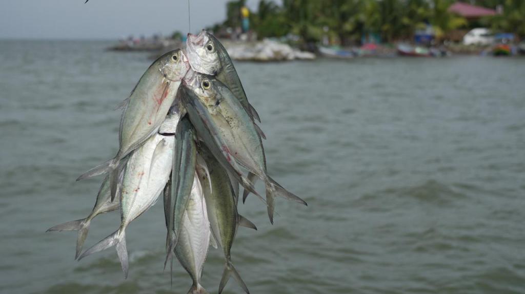 Omoa, Cortés, Honduras